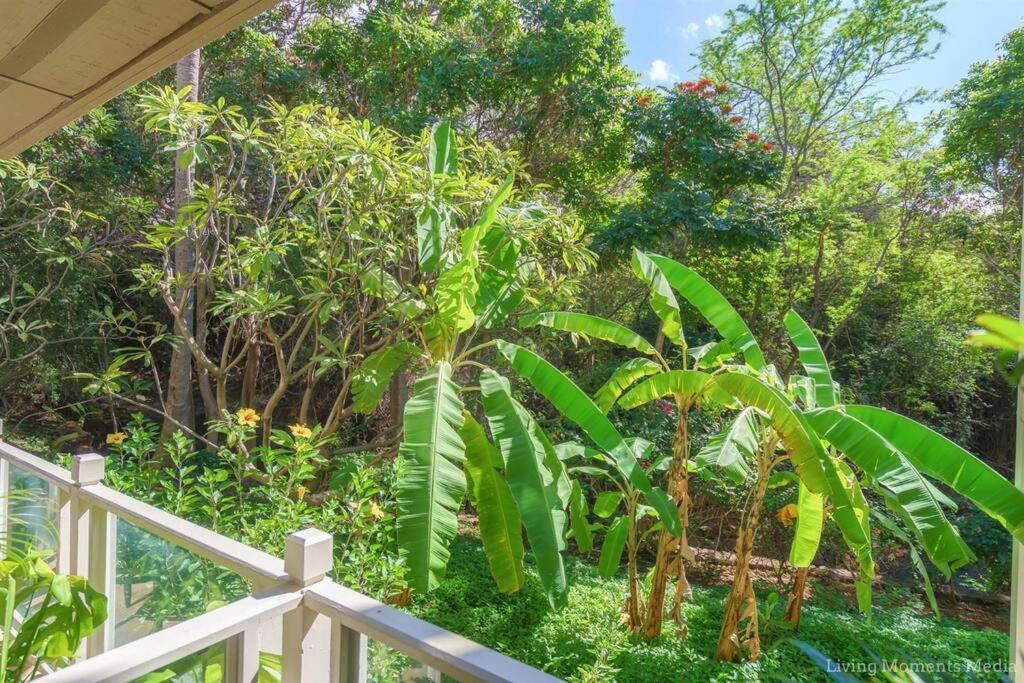 Tiki Tiki - Gorgeous Boho Beach Hideaway! Wailea  Bagian luar foto
