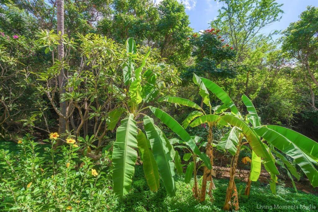 Tiki Tiki - Gorgeous Boho Beach Hideaway! Wailea  Bagian luar foto